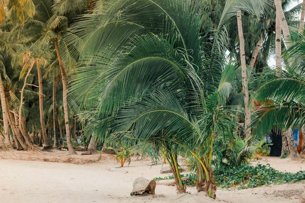 Exploring wales' mining legacy: must-visit sites that highlight britain's industrial past